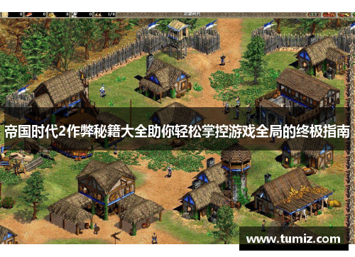 帝国时代2作弊秘籍大全助你轻松掌控游戏全局的终极指南