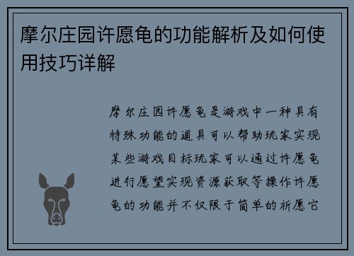 摩尔庄园许愿龟的功能解析及如何使用技巧详解